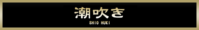 蒲田 潮吹き【熟女の風俗最終章 蒲田店】